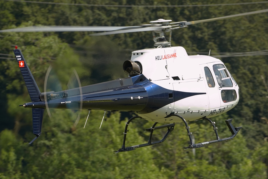 Prangins%20Fly-In%202009