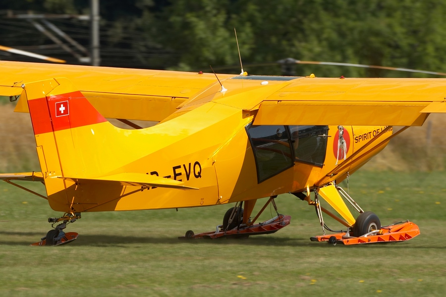 Prangins%20Fly-In%202009