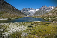 Aletsch%20Gletscher%202016