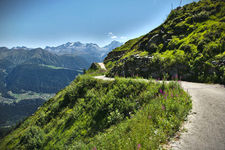 Aletsch%20Gletscher%202016