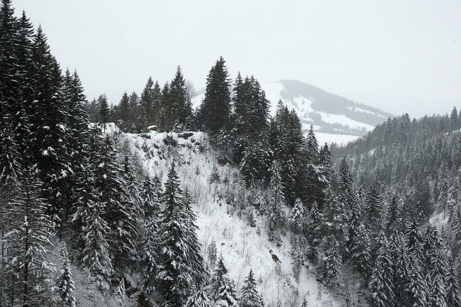 Sattel-Hochstuckli