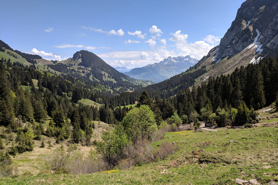 Trepsental-Obersee