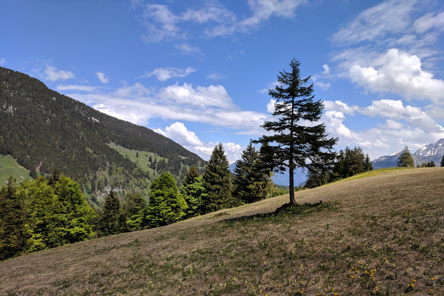 Trepsental-Obersee