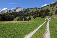 Trepsental-Obersee
